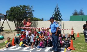 Gansies se Nuwe Jaar